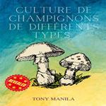 Culture De Champignons De Différents Types