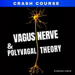 Vagus Nerve And The Polyvagal Theory