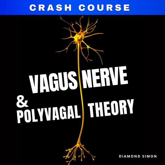 Vagus Nerve And The Polyvagal Theory