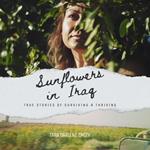 Sunflowers in Iraq