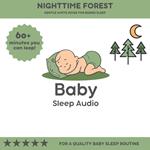 Nighttime Forest: Gentle White Noise for Sleep