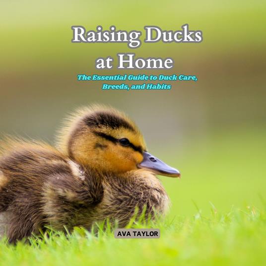 Raising Ducks at Home