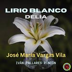 LIRIO BLANCO