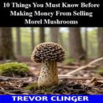 10 Things You Must Know Before Making Money From Selling Morel Mushrooms