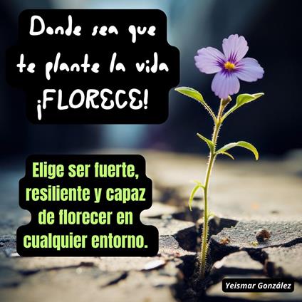 Donde sea que te plante la vida ¡FLORECE!