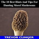 10 Best Hints And Tips For Hunting Morel Mushrooms, The