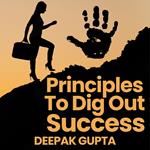 5 Principles To Dig Out Success