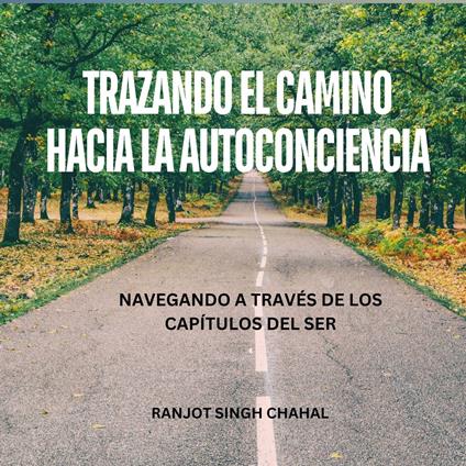 Trazando el Camino hacia la Autoconciencia