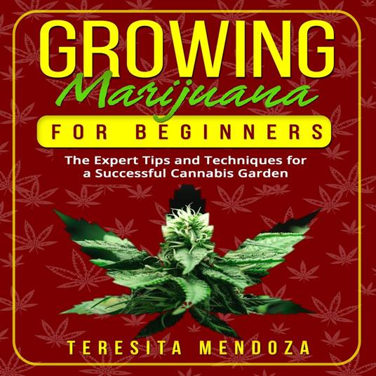 Growing Marijuana for Beginners