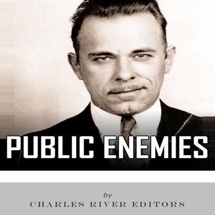 Public Enemies