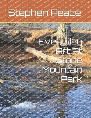 Everyday Art At Stone Mountain Park - Stephen Peace - cover