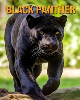 Black Panther: Animals Books For Kids - Mira Nightingale - cover