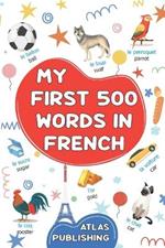 My first bilingual French English picture book: 500 words in the French language - A visual dictionary with illustrated words on everyday themes - Learn French vocabulary for kids and beginner adults