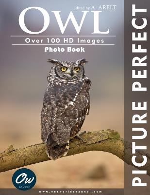 Owl: Picture Perfect Photo Book - A Arelt,Our World - cover