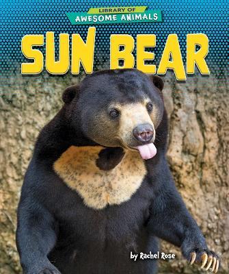 Sun Bear - Rachel Rose - cover