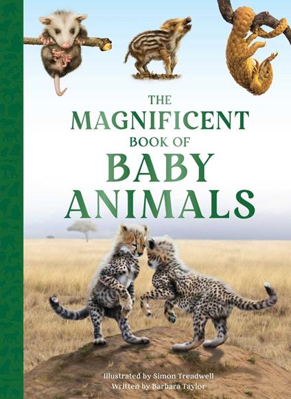 The Magnificent Book of Baby Animals - Barbara Taylor - ebook