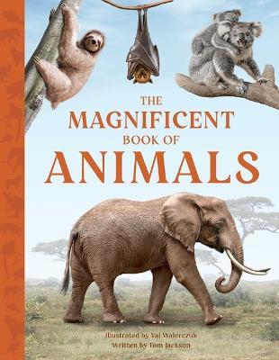 The Magnificent Book of Animals - Tom Jackson - cover