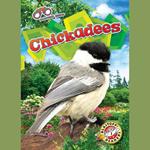 Chickadees