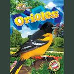 Orioles