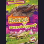 Cricket or Grasshopper?