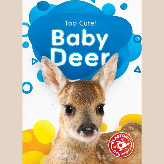 Baby Deer