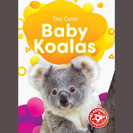 Baby Koalas