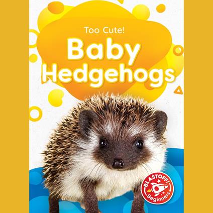 Baby Hedgehogs