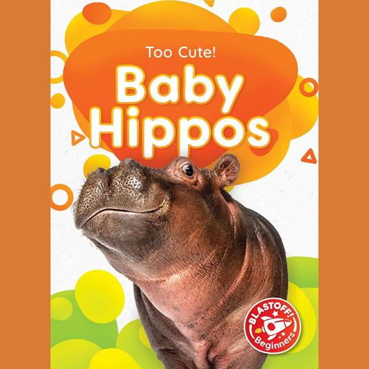 Baby Hippos