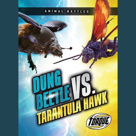 Dung Beetle vs. Tarantula Hawk