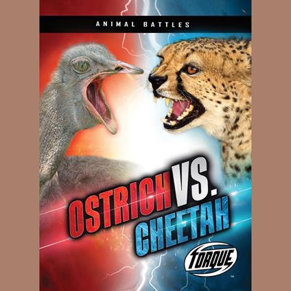 Ostrich vs. Cheetah