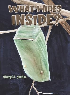 What Hides Inside? - Cheryl J Sachse - cover