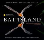 Bat Island: A Rare Journey into the Hidden World of Tropical Bats