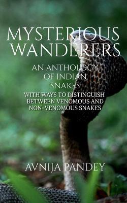 Mysterious Wanderers - Avnija Pandey - cover
