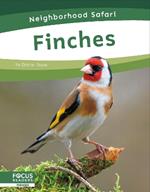 Neighborhood Safari: Finches