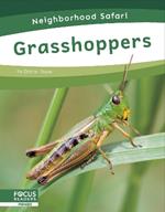 Neighborhood Safari: Grasshoppers