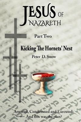 Jesus of Nazareth: Kicking the Hornets' Nest - Peter D Snow - cover