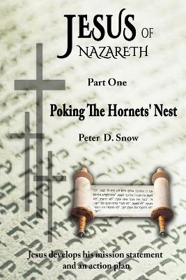 Jesus of Nazareth: Poking the Hornets' Nest: Jesus Develops His Mission Statement and an Action Plan - Peter D Snow - cover