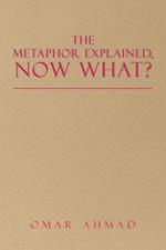 The Metaphor Explained, Now What?