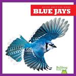 Blue Jays