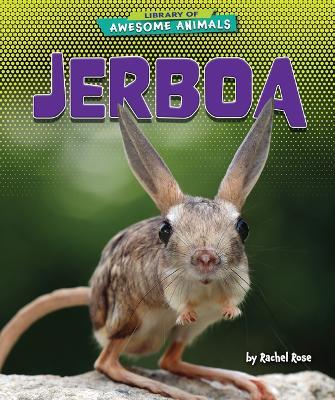 Jerboa - Rachel Rose - cover