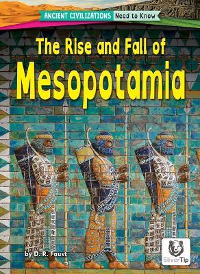 The Rise and Fall of Mesopotamia - D R Faust - cover