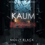 Kaum Zu Sehen (Ein Tessa Flint FBI-Thriller – Band 1)