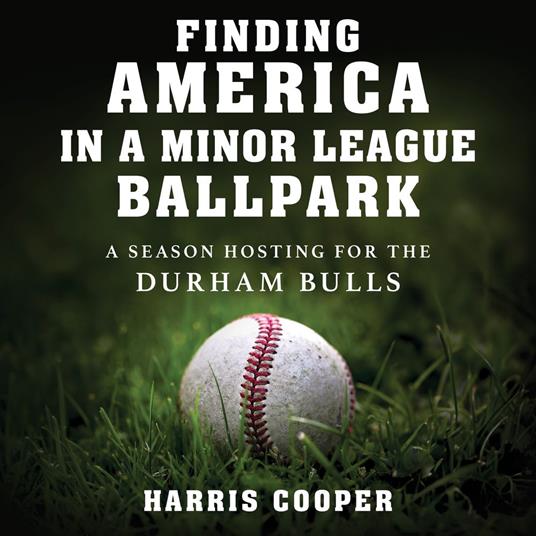 Finding America in a Minor League Ballpark