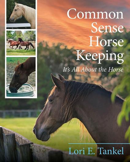 Common Sense Horse Keeping