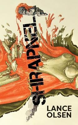 Shrapnel: Contemplations - Lance Olsen - cover
