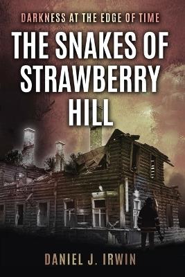 Darkness at the Edge of Time: The Snakes of Strawberry Hill - Daniel J Irwin - cover