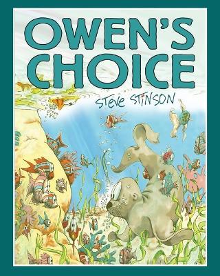 Owen's Choice - Steve Stinson - cover