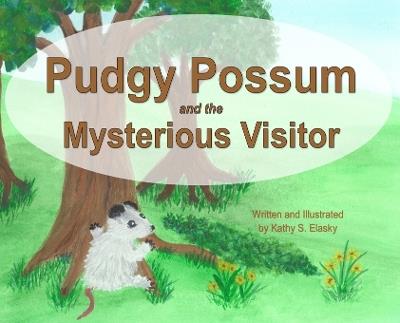 Pudgy Possum and the Mysterious Visitor - Kathy S Elasky - cover