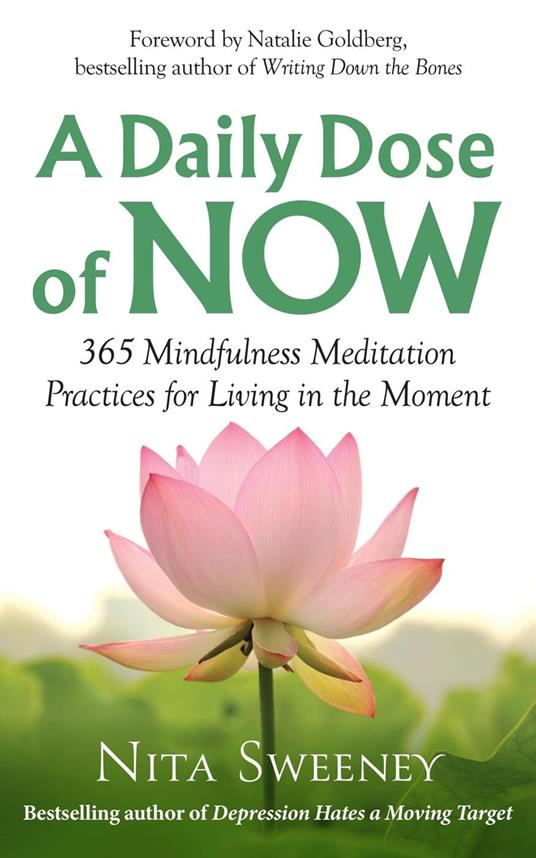 A Daily Dose of Now: 365 Mindfulness Meditation Practices for Living in the Moment