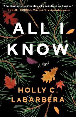 All I Know - Holly C Labarbera - cover